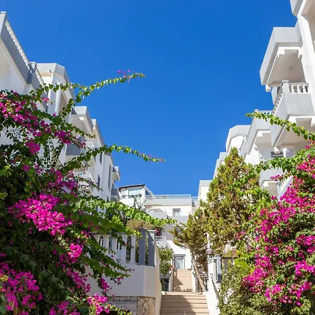 Отель Smart Bodrum 4*