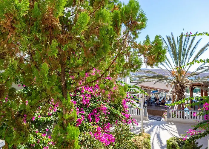 Szálloda Smart Bodrum 4*