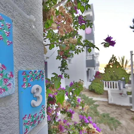 Smart Bodrum 4* ביטז